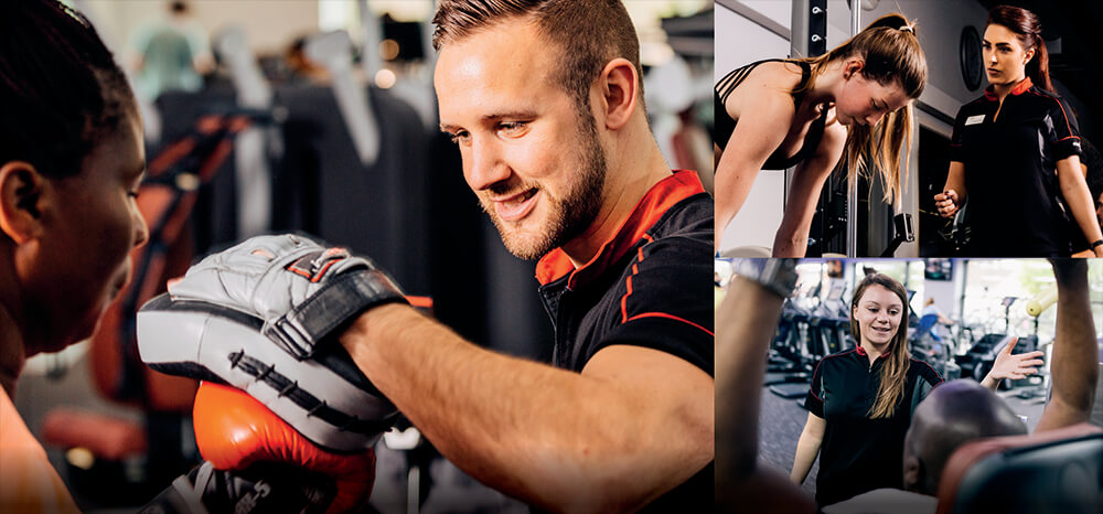 Personal trainers working with members