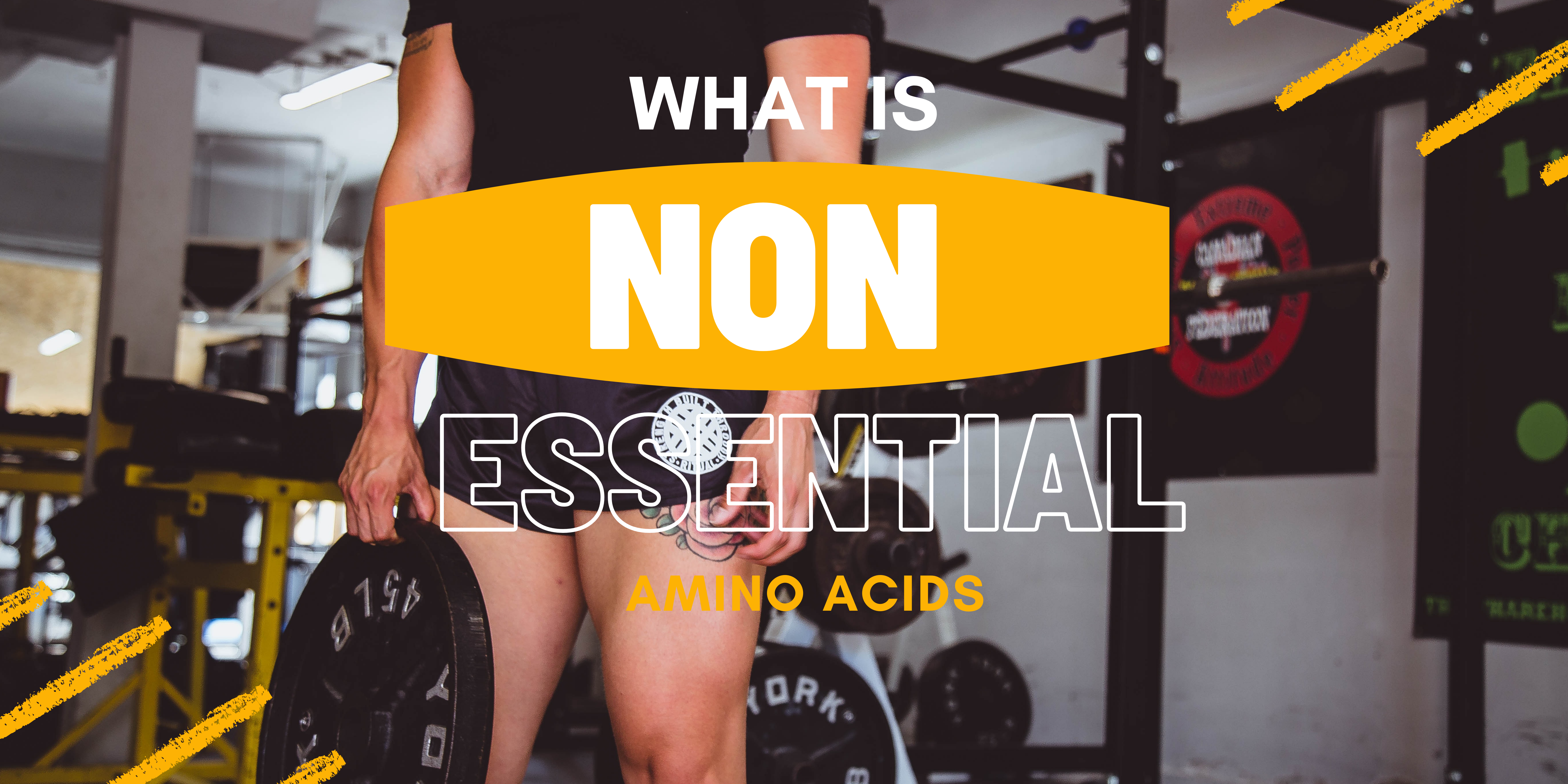 What is Nonessential Amino Acids And Its Importance - My fitness family